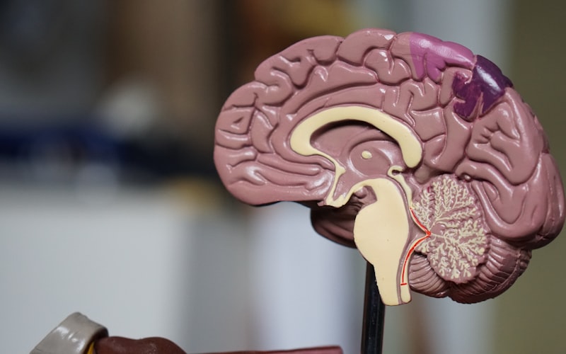 A Holistic Approach to Chronic Pain Management