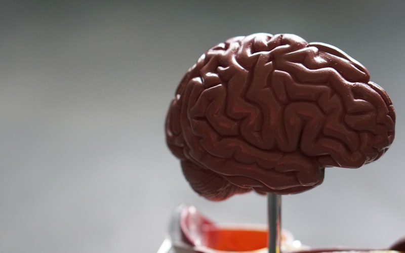 The Mind-Body Connection in Physical Recovery